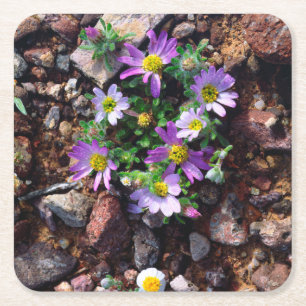 Dessous De Verre Carré Fleurs sauvages