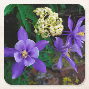 Dessous De Verre Carré Fleurs sauvages de colombine mutante