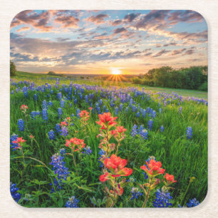 Dessous De Verre Carré Fleurs   Texas Bluebonnets & Indian Paintbrush
