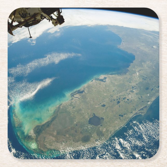 Dessous De Verre Carré Floride Oblique, Sur La Côte Sud-Est (Devant)