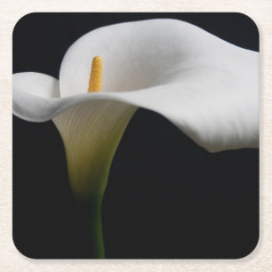 Dessous De Verre Carré Flowers (homonymie) White Calla Lily