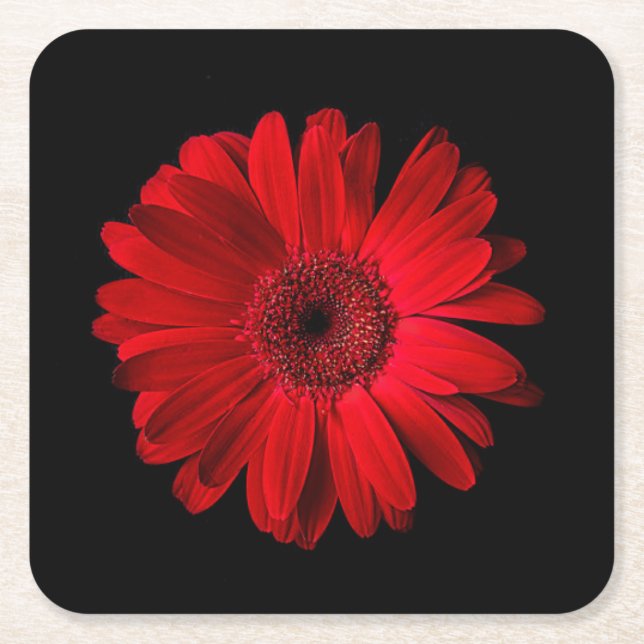 Dessous De Verre Carré Flowers | Red Gerbera Daisy (Devant)