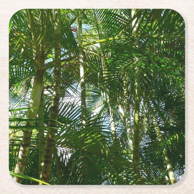Dessous De Verre Carré Forest of Palm Trees Tropical Nature (Devant)