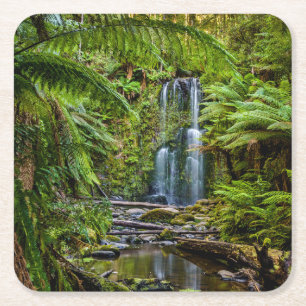 Dessous De Verre Carré Forêt   Beauchamp Falls Australie