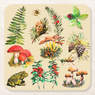 Dessous De Verre Carré Forêt, champignons sauvages