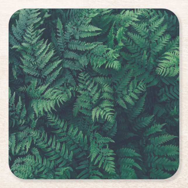 Dessous De Verre Carré Forêt | Fermes des bois (Devant)