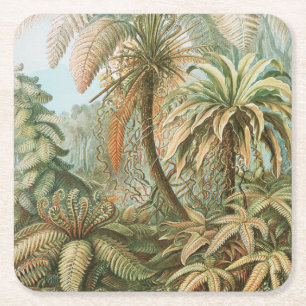 Dessous De Verre Carré Fougères, Filicinae Laubfarne par Ernst Haeckel