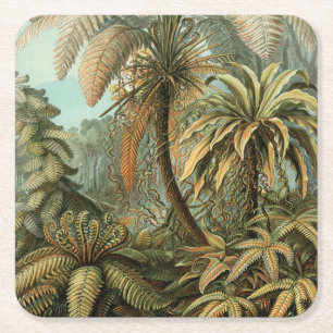 Dessous De Verre Carré Fougères Palmier Antique Botanique Fougères Art