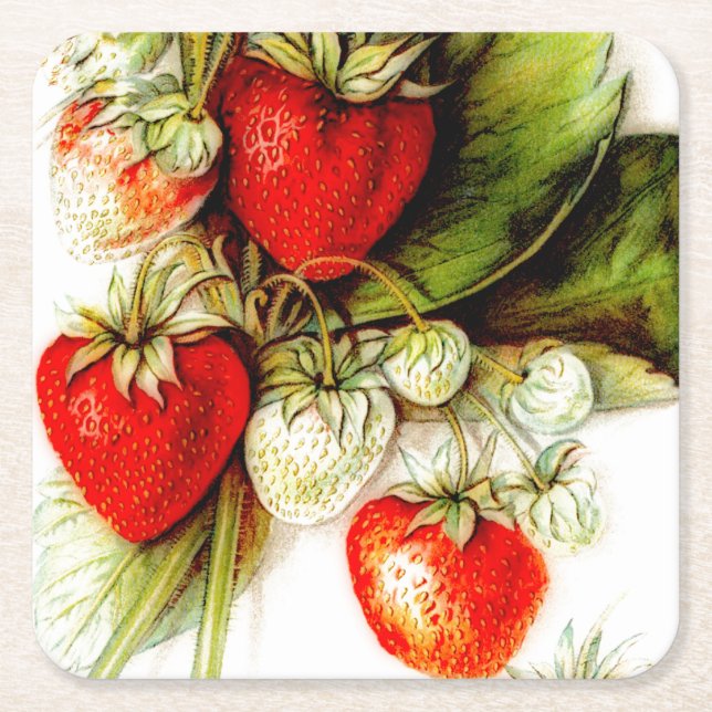 Dessous De Verre Carré fraise vintage (Devant)