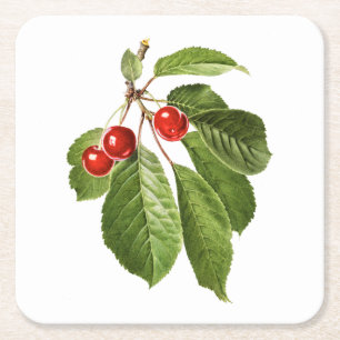 Dessous De Verre Carré Fruits : A015 Cerise -