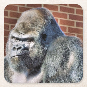 DESSOUS DE VERRE CARRÉ FUNNY GORILLA