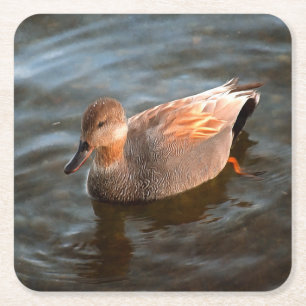 Dessous De Verre Carré Gadwall Duck Drake sur le lac