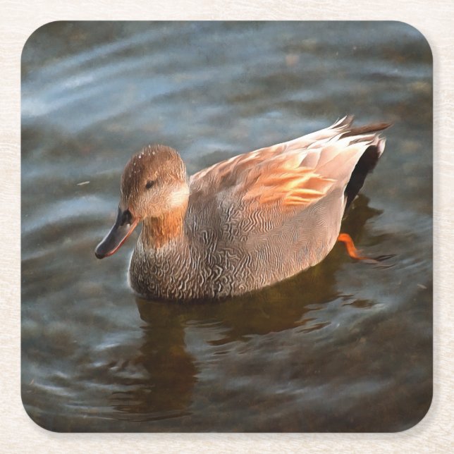 Dessous De Verre Carré Gadwall Duck Drake sur le lac (Devant)