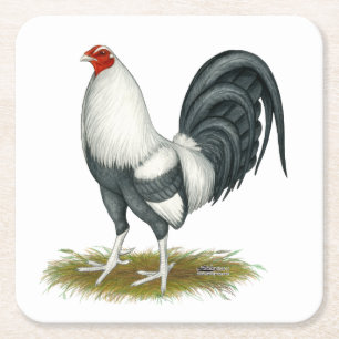 Dessous De Verre Carré Gamecock Bleu d'argent du jeu américain