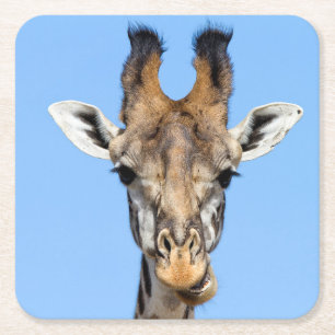 Dessous De Verre Carré Giraffe