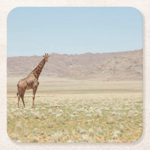 Dessous De Verre Carré Giraffe majestueuse dans la savane africaine