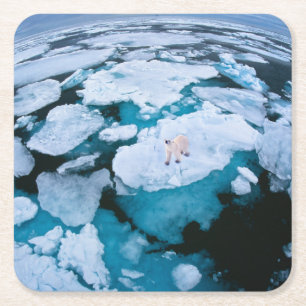 Dessous De Verre Carré Glace et neige   Ours polaire, Océan Arctique, Sva