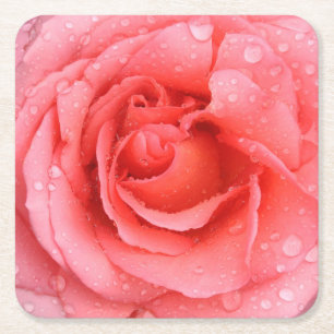 Dessous De Verre Carré Gouttes d'eau de rose rouge romantique
