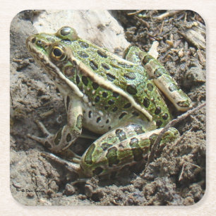 Dessous De Verre Carré Grenouille léopard R3