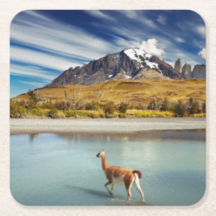 Dessous De Verre Carré Guanaco traversant la rivière en Torres del Paine
