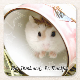 Dessous De Verre Carré Hammyville - Cute Hamster