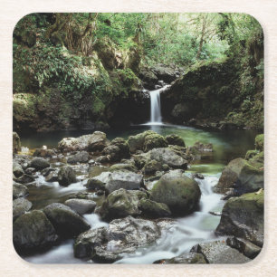 Dessous De Verre Carré Hawaii, Maui, Une cascade se jette dans le bassin