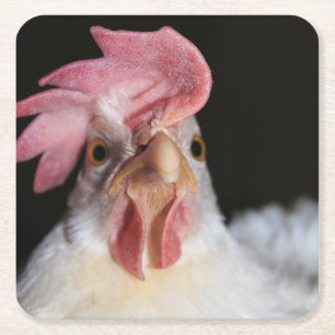 Dessous De Verre Carré Hen