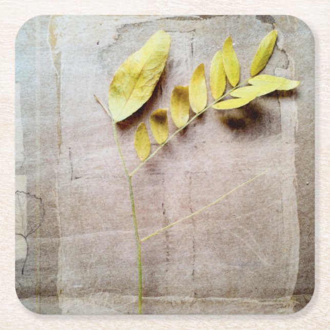 Dessous De Verre Carré Herbarium V (Devant)