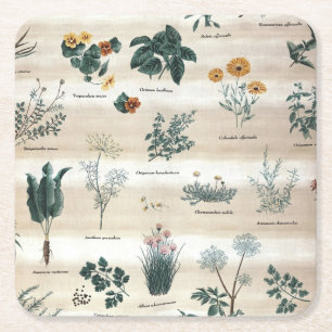 Dessous De Verre Carré Herbes Fleurs Plantes
