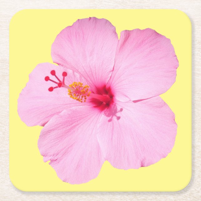 Dessous De Verre Carré Hibiscus rose Fleur tropicale (Devant)