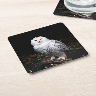 Dessous De Verre Carré Hibou des neiges majestueux d'hiver