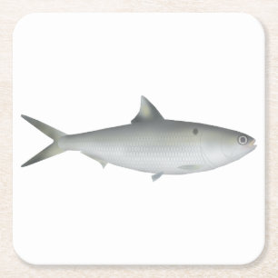 Dessous De Verre Carré Hilsa Shad
