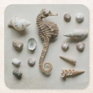Dessous De Verre Carré Hippocampe et coquilles