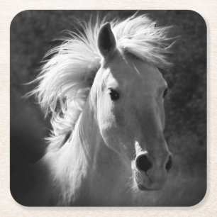 Dessous De Verre Carré Horse Portrait V