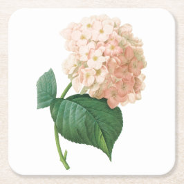 Dessous De Verre Carré hortensia(Hydrangea sp.) par Redouté