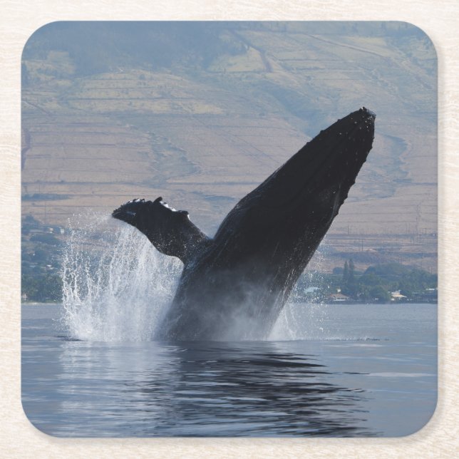 Dessous De Verre Carré humpback break breaching (Devant)