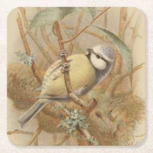 Dessous De Verre Carré Illustration vintage de Mésange bleue