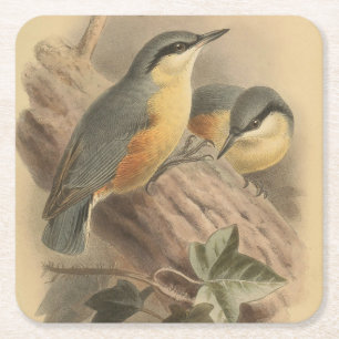 Dessous De Verre Carré Illustration vintage de Nuthatch