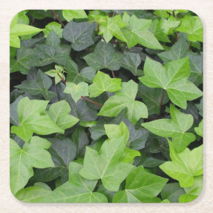 Dessous De Verre Carré Impression botanique verte Ivy