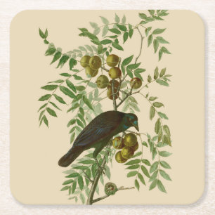 Dessous De Verre Carré Impression d'oiseau Grackle violet d'Audubon Botan
