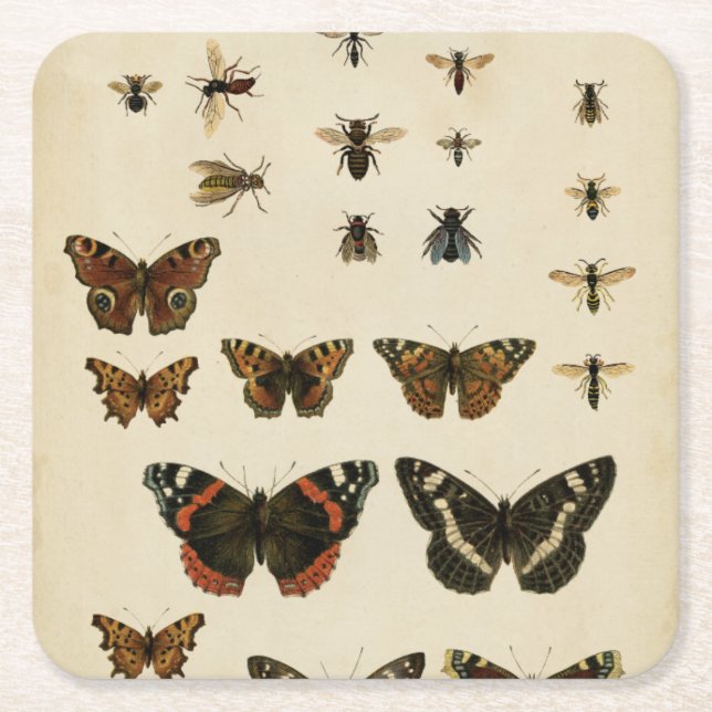 Dessous De Verre Carré Insectes de jardin par Vision Studio (Devant)