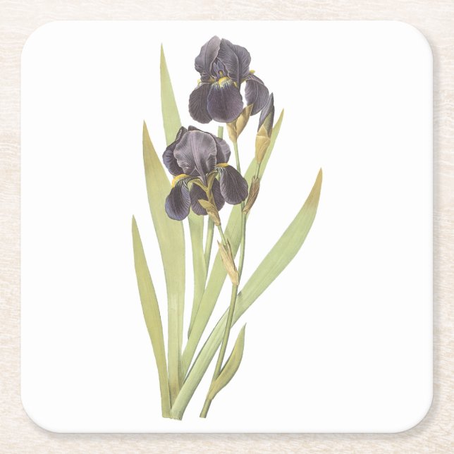 Dessous De Verre Carré iris barbu (Iris germanica) par Redouté (Devant)