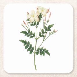 Dessous De Verre Carré jasmine (Jasminum grandiflorum) par Redouté