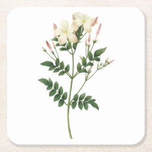 Dessous De Verre Carré jasmine (Jasminum grandiflorum) par Redouté