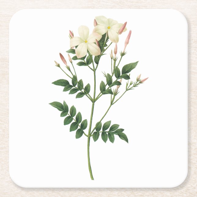 Dessous De Verre Carré jasmine (Jasminum grandiflorum) par Redouté (Devant)