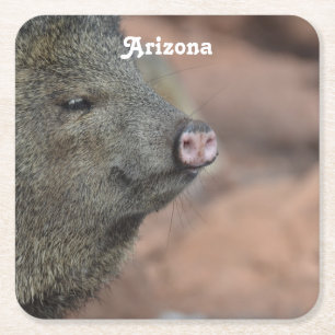 Dessous De Verre Carré Javelina