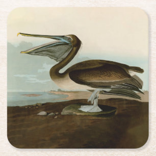 Dessous De Verre Carré John James Audubon Peinture Pélicane Brown