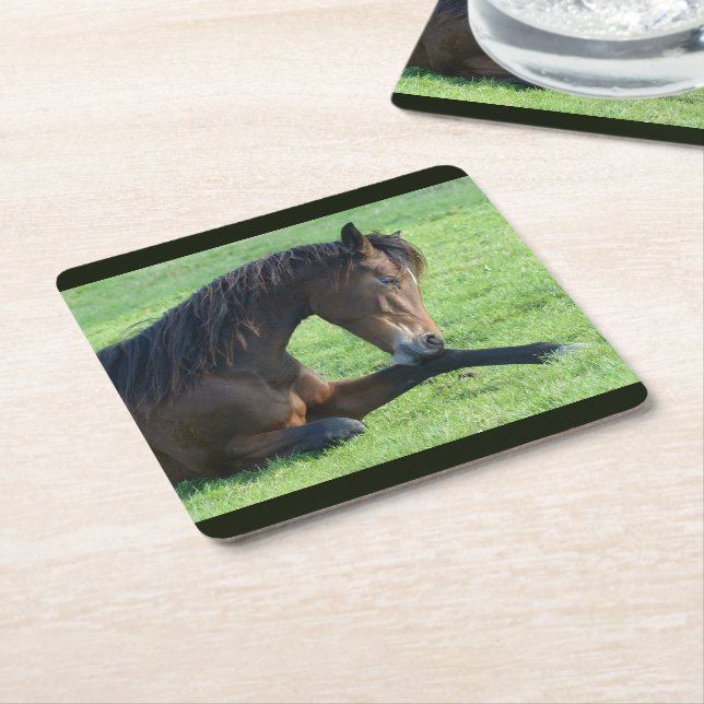 Dessous De Verre Carré Joli Cheval Brown allongé dans l'herbe (Incliné)