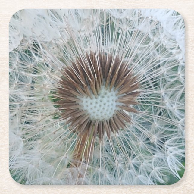 Dessous De Verre Carré Joli Dandelion blanc (Devant)
