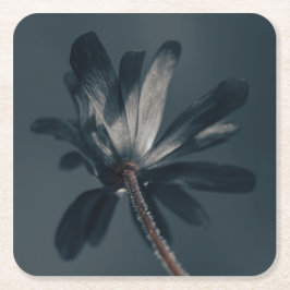 Dessous De Verre Carré La Fleur Délicieuse Et Sombre